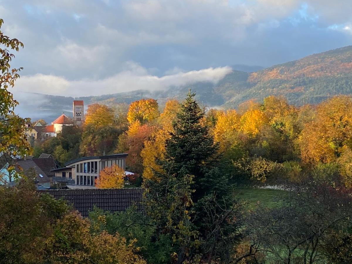 Le Moonloft Insolite Tiny-House Dans Les Arbres & 1 Seance De Sauna Pour 2 Avec Vue Panoramique Osenbach Екстериор снимка