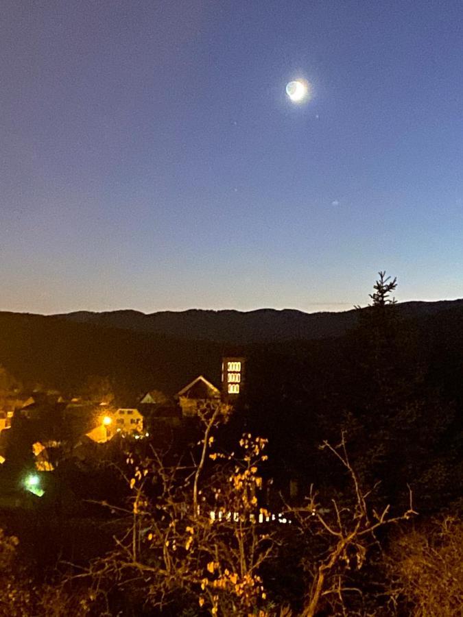 Le Moonloft Insolite Tiny-House Dans Les Arbres & 1 Seance De Sauna Pour 2 Avec Vue Panoramique Osenbach Екстериор снимка