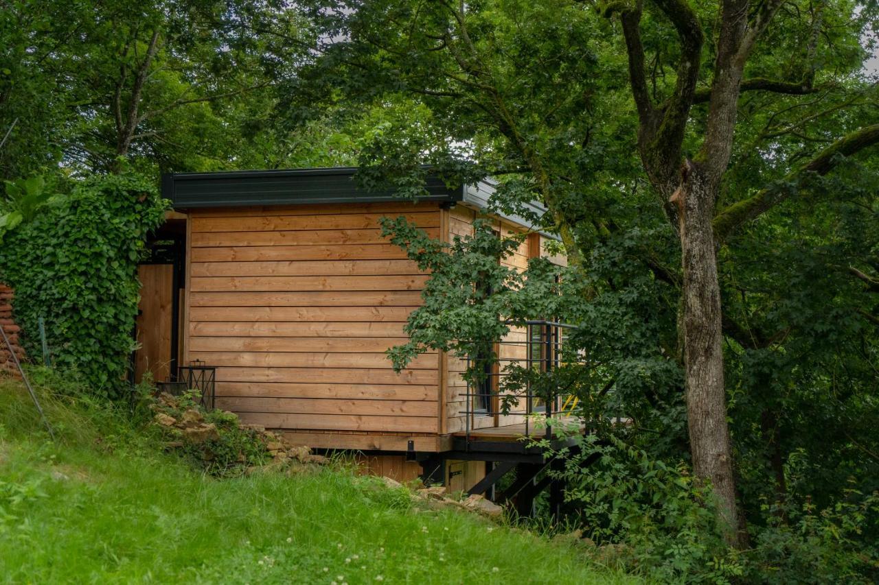 Le Moonloft Insolite Tiny-House Dans Les Arbres & 1 Seance De Sauna Pour 2 Avec Vue Panoramique Osenbach Екстериор снимка